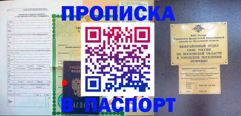 временная регистрация госуслуги в Лосино-Петровском